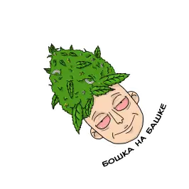 Head on head